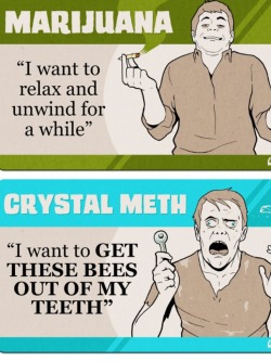 princessprick:    dumpyourweedbrah:  How the drugs you do, describe who you are. Credit to College Humor.  