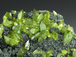underthescopemin:  Titanite Excellent lustrous rich green crystals of Titanite admirably cover the display face of the specimen.  Many of the Titanite crystals are wedge shaped twins mostly gemmy to translucent. A diagonal zone of very deep green crystall