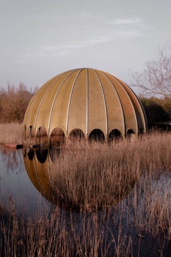 architectureofdoom: aph67: from Woodpecker series (2015)  Abandoned disco in Milano Marittima 
