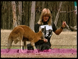 l00k4tm4m45c415:Cory Everson in Australia (part 1) - Spending time with kangaroos in the Syndey Zoo