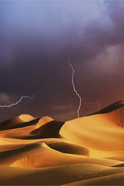 ardenea:  ponderation:  Desert Saudi Arabia by saleh almozini   100% nature