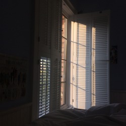 purifiant:  milk-and-meat:  purifiant:  pretty okay with this view from my bed   I’d just stay in bed all day  I do stay in bed all day
