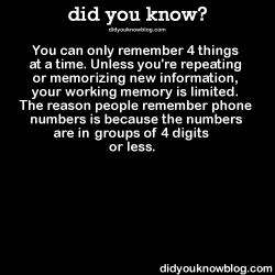 did-you-kno:  You can only remember 4 things at a time. Unless you’re repeating or memorizing new information, your working memory is limited. The reason people remember phone numbers is because the numbers are in 3 groups of 4 digits or less. Source