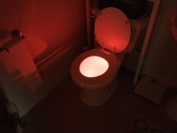 remnant-imaginations: My mom put a cute ill holiday light in the toilet without telling me so guess who thought they walked into hell at 5 am this morning holy shit