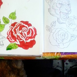 The furry thing on the bottom right is a cat that found it&rsquo;s way onto my lap.  Working on another flower. #flowers #tattooflash #rose #traditionalamerican