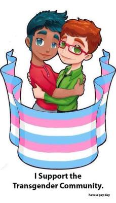haveagaydayorg:  A person with blueish hair/eyes and a red shirt and a person with red hair and a green shirt/eyes and glasses are in an embrace.  Wrapped around them as a banner is a flag with the transgender colors on it.Underneath it says “I support
