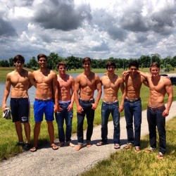texasfratboy:  oh my god, where did they get these hotties? that’s a wall of hard abs!!! …heehee   