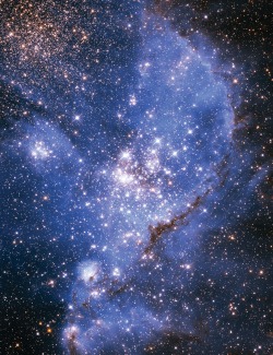 astronomicalwonders:  Star Birth in NGC 346 NGC 346 is the brightest star-forming region in the Small Magellanic Cloud - a Dwarf Galaxy near our Milky Way. Massive stars have dispersed the glowing gas within and around this star cluster to form this beaut