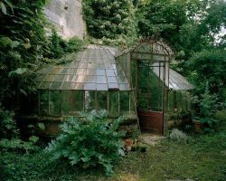 miss-march:  Victorian conservatory ~ 