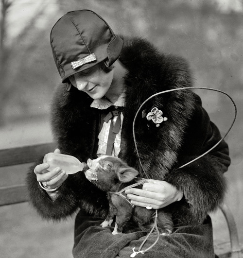 1920s fashion | Tumblr