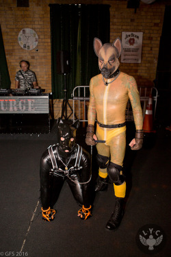 downandirty:    Boundary Setting In Pup Play   Forming a consenting and understanding relationship between pup and handler can take time. As the sub in the role between pup and handler, the pup should decide what is best for them. A caring master will