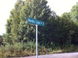 honky-tonk-badonk-adonk:  lol-post:  Well I know where I’m going motor boating this weekend.  I’m laughing so fucking hard   😏