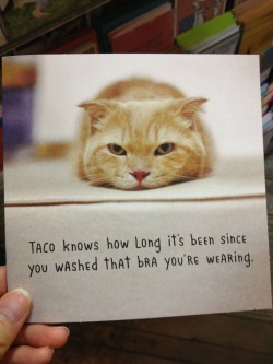 tinybirdmouth:  dynastylnoire:dauntlesshadowhunterravenclaw: TACO NEEDS TO KEEP HIS LITTLE MOUTH SHUT   TACO NEEDS TO STAY IN HIS DAMN  LANE   Two people in my life have sent me this card.