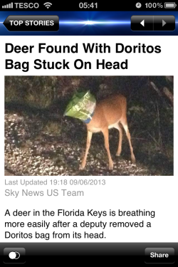 wall-to-wall-shezza:  Meanwhile, in Florida.
