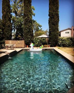 A beautiful pool day at The Othman Event Center with especially beautiful people! #goodtimes #unicornfloaty #hugefloaty  (at Antioch, California) https://www.instagram.com/p/B0P1E9LAXPX/?igshid=1ses5fomcg53z