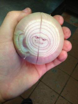 That day, onionkind received a grim reminder.