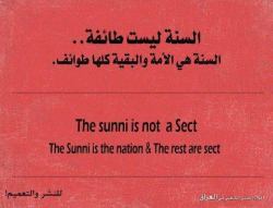 vanoos:  أهل السنة أمة و ليس طائفة “Ahlul Sunnah is an Ummah .. not a sect” That’s right we are the Ummah, they (Shia) are a sect.  Ahlul Sunnah are the true followers of the prophet (peace be upon him) .. Shiism is a cult which
