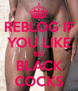 tum-bull-r: Reblog &amp; Follow if you love Big Black Cocks! 