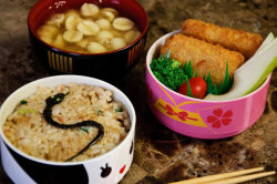 whatthehaxx:  [x][x][x][x][x][x][x][x] demi-plum&rsquo;s bentos have been a huge inspiration to me for years and are one of the main reasons why I got into cooking! She posts lists of each thing in her boxes for people who want to replicate them and also