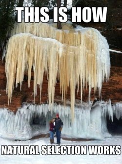 Never trust Mother Nature &hellip; she loves a good laugh