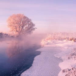 landscape-photo-graphy:  Photographer Captures the Pastel Pink and Blue Hues of a Snowy Landscape Photographer Alex Ugalnikov captures the soft hazy blue and pink hues of the snowy Belarus landscape. The morning fog, the gentle reflections of the snow