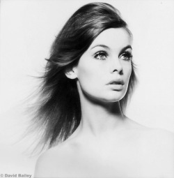 savetheflower-1967:  Jean Shrimpton - photo by David Bailey - 1965.