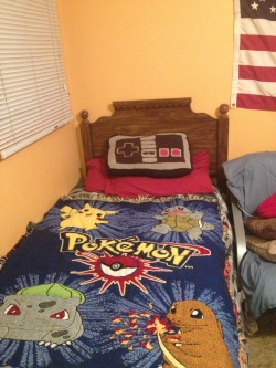 orima-kazooie:  pizzaearboy:  I am 22 years old, I work for the government, and this is my bed.  Maybe our government is in better hands than I thought   You would love this :p