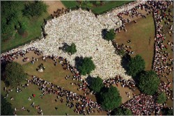 historicaltimes:  An aerial view of the flowers left outside Buckingham palace after the death of Princess Diana, 1997. via reddit 