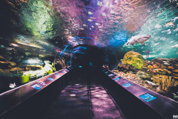 blank-sl8te:  I need this date to happen   @takenbythebest27 I want to go somewhere like this