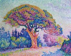 Paul Signac.Â The Pine Tree at Saint Tropez.Â 1909.