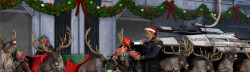 Eight Not So Tiny Reindeer Full pic at: http://www.rule34.paheal.net/post/view/1500267