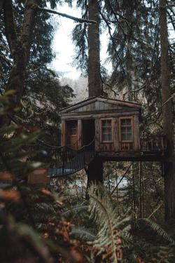abovearth:  TreeHouse Point by Kendall Martin