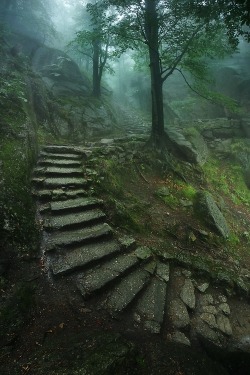 moon-sylph:  0rient-express:  Stairway to the Castle | by Karol Nienartowicz.  ☽ ⁎ ˚ * ☀ Mystique, autumn, nature ✵ ⁎ * ☾ 