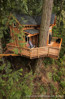 utwo:  Ski Lodge Treehouse© nelsontreehouse  Damn Pete Nelson is a genius &hellip; just wow