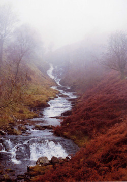 touchdisky:  Waterfall in the mist by fidget65 