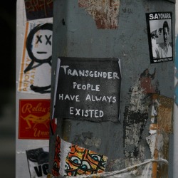 roger-without-a-rabbit:  queergraffiti:shawnhnichols:Trans | Seattle, Washington - 2015 “transgender people have always existed”  Yes thank you i can read