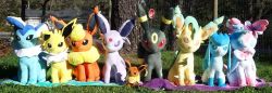 pacificpikachu: 1/1 Scale Pokémon Center Eeveelution Plush Set I always told myself that if the Eeveelutions ever got 1/1 scale plush, I’d buy the whole set. I wasn’t sure if it would ever actually happen, after all Eeveelutions are huge, but lo
