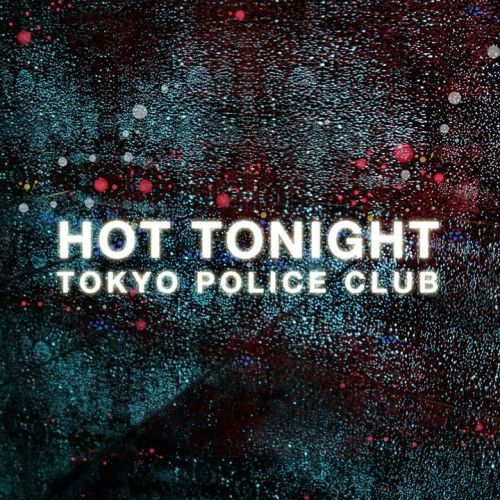 Tokio private police