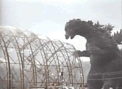 citystompers:  Godzilla vs. Mothra (1964)