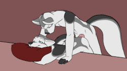 naughtyfemboy68: Thought I’d dump some gay yiff gifs for all you lewd people out there