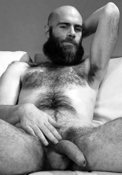 sweatyhairylickable: rochebeard:  Wow, check out the size of that… uh… beard. Yeah, sorry, I got distracted.  http://sweatyhairylickable.tumblr.com for more hairy sweaty dudes!  