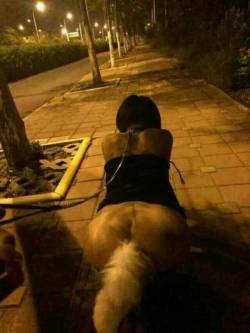 slavehub:Even slaves need exercise, just make sure it’s always as humiliating as possible.