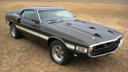 psychobat:  bolt-carrier-mod:  subversivegrrl:  I seriously got a little weak in the knees over this: Mint 1969 Shelby GT500 428 Cobra Jet found under 40 years of dust  Oh my goodness   My almost dream car