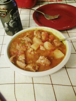Dinner me and the mums made: home made chili verde :)