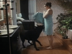 Towel Pulled by a Dog