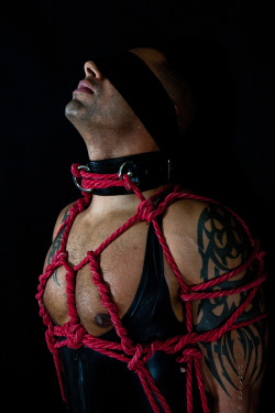 Art Of Rope & Photography
