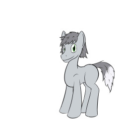 A ponification of a wolf character named Alex.