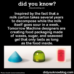 did-you-kno:  Inspired by the fact that a milk carton takes several years to decompose while the milk itself goes sour in a week, Tomorrow Machine designers are creating food packaging made of waxes, sugar, and seaweed gel that only lasts as long as the