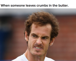 buzzfeeduk:  Andy Murray Reactions For Everyday Situations