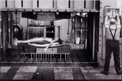 woman in a machine, by Helmut Newton